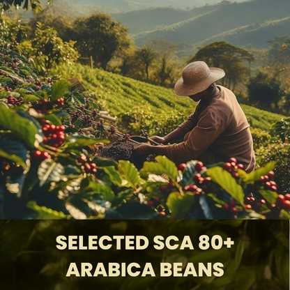 CAPBREW BUNDLE SET - 24Caps